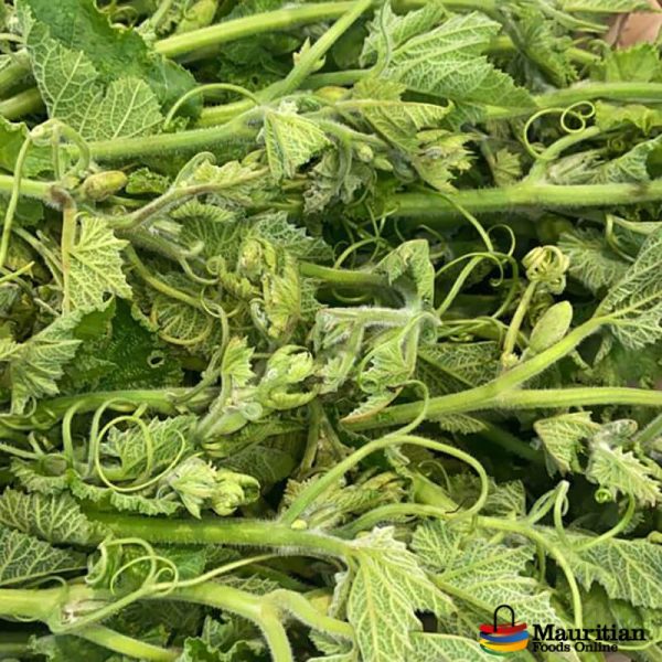 Brede Giromon - Pumpkin Leaves