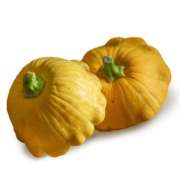 Patisson - Patty Pan