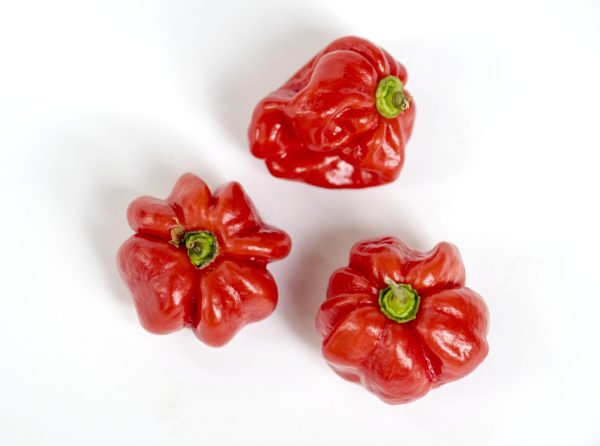 Scotch Bonnet Pepper