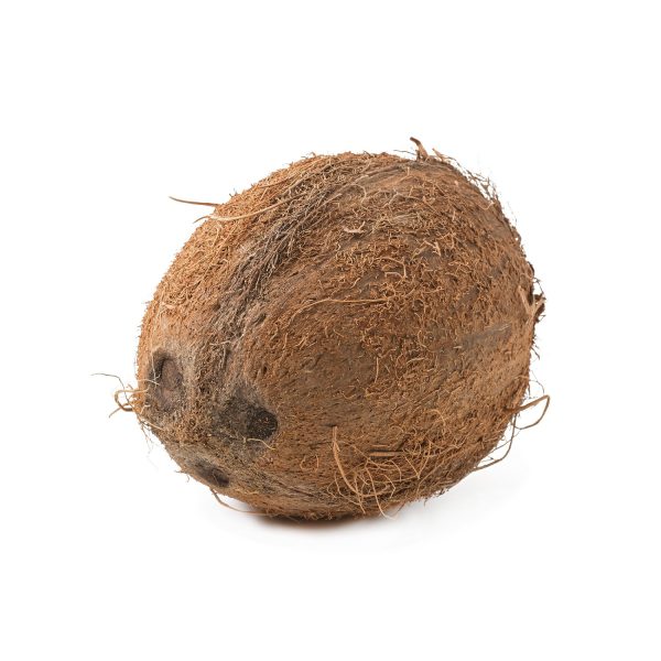 Coconut