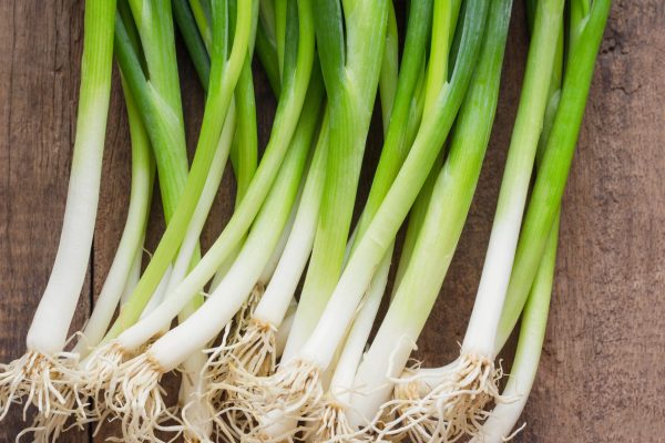 Spring Onion