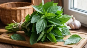 Fresh jute leaves (Molokhia) tied with twine on a rustic wooden cutting board.